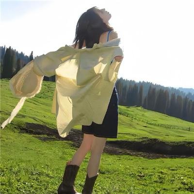 铁耙